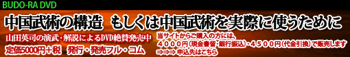中国武術の構造　もしくは中国武術を実際に使うために