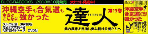沖縄空手も合気道も本当はこんなに強かった　達人シリーズ第十三巻