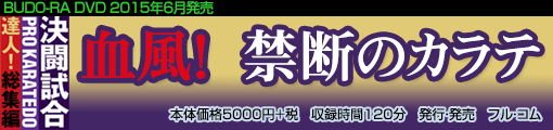 素手の顔面攻撃　頭突き　金的　何でもあり
       血風！禁断のカラテ決闘試合
       PRO KARATEDO達人！総集編